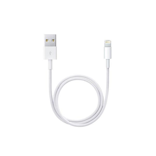 Apple Lightning To USB 2.0 Cable (0.5M)
